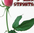 С днем строителя! - Гусь-Хрустальный район