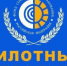 «Прямые выплаты» - пилотный проект ФСС - Администрация г. Гусь-Хрустальный
