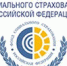 Временные правила оформления листков нетрудоспособности, назначения и выплаты пособий по временной нетрудоспособности в случае карантина - Гусь-Хрустальный район