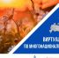 Всероссийский конкурс «Виртуальный тур по многонациональной России» - Гусь-Хрустальный район
