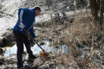 скачать