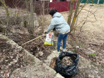 скачать