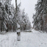 Article Poster - Gus-info.Ru